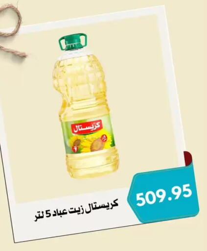 available at Negmet Heliopolis Hyper Gamal Salama in Egypt - Cairo