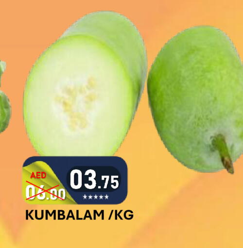 available at رويال جلف هايبرماركت in الإمارات العربية المتحدة , الامارات - أبو ظبي
