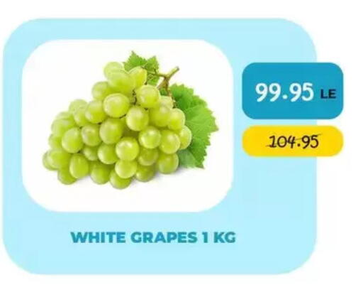 Grapes available at Point Market  in Egypt - Cairo