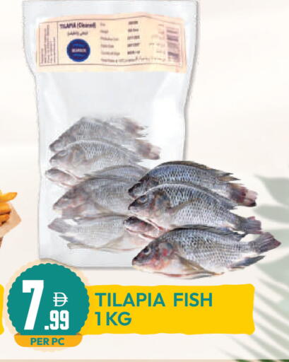 available at Dream Land in UAE - Dubai