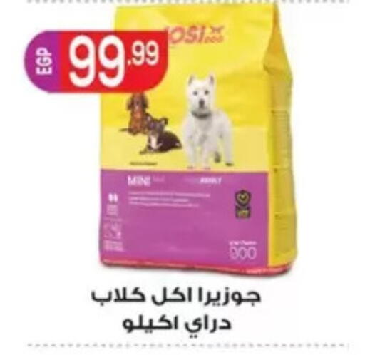available at El mhallawy Sons in Egypt - Cairo