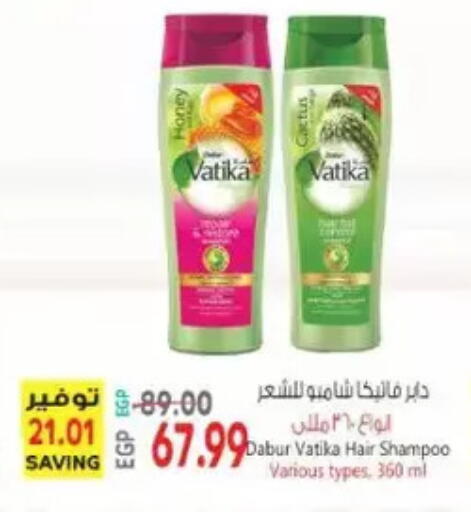 available at New.Penny.market in Egypt - Cairo