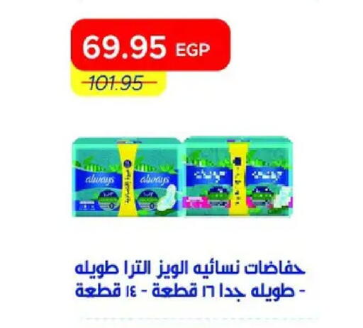 available at مترو ماركت in Egypt - القاهرة