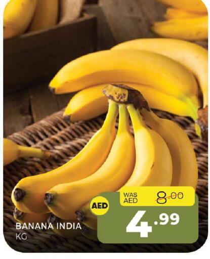 Banana from India available at Al Madina  in UAE - Sharjah / Ajman