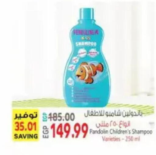 available at New.Penny.market in Egypt - Cairo