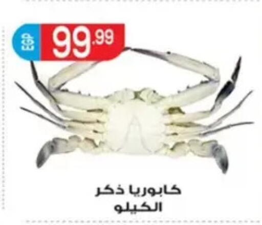 available at El mhallawy Sons in Egypt - Cairo