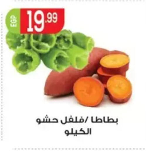 available at El mhallawy Sons in Egypt - Cairo