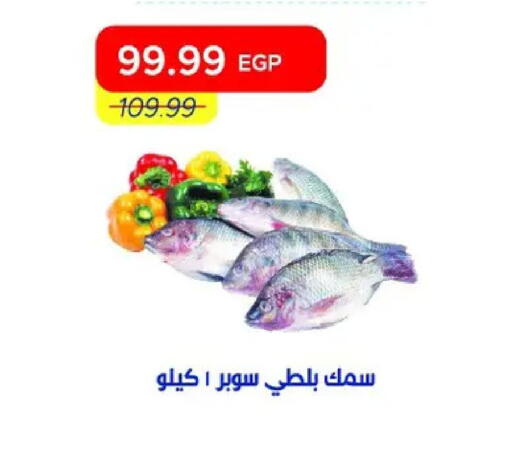 available at مترو ماركت in Egypt - القاهرة