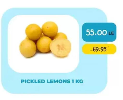 available at Point Market  in Egypt - Cairo