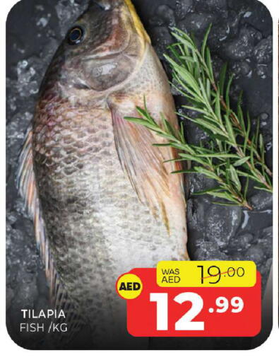 available at Al Madina  in UAE - Sharjah / Ajman