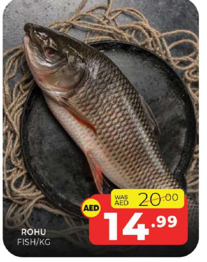 available at Al Madina  in UAE - Sharjah / Ajman