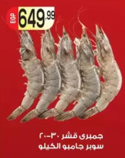 available at El mhallawy Sons in Egypt - Cairo