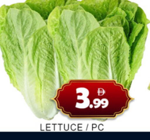 Lettuce available at Lucky Center in UAE - Sharjah / Ajman