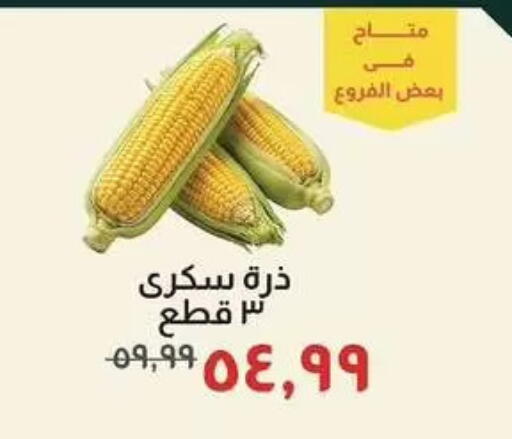 available at Kheir Zaman  in Egypt - Cairo