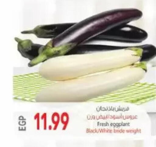 Eggplant available at El.Husseini supermarket  in Egypt - Cairo