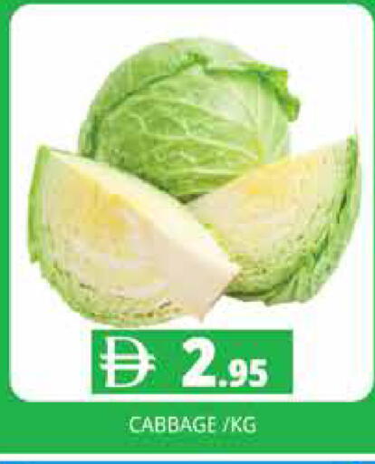 Cabbage available at Pasons Hypermarket in UAE - Dubai
