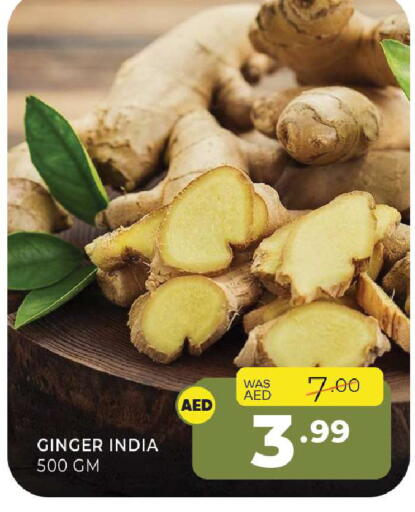 Ginger from India available at المدينة in الإمارات العربية المتحدة , الامارات - الشارقة / عجمان