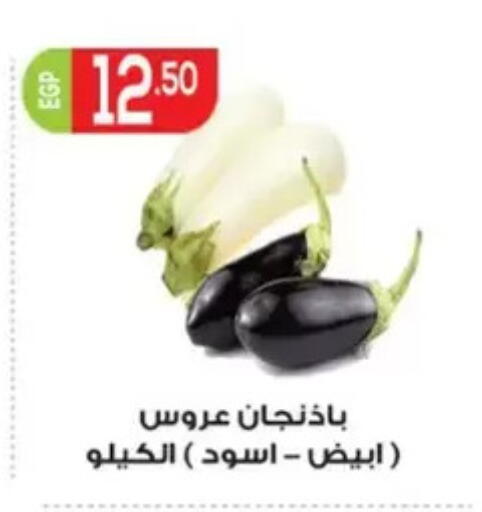 available at El mhallawy Sons in Egypt - Cairo