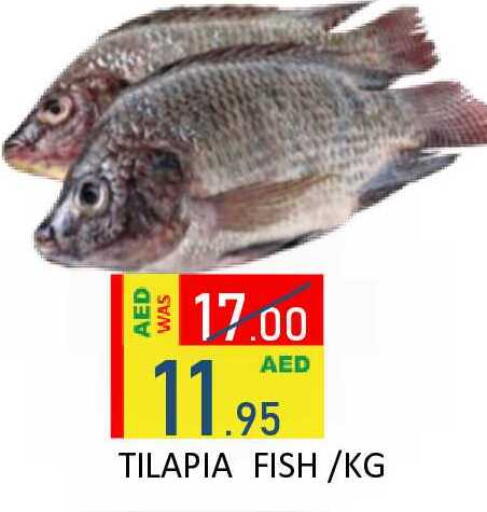 available at رويال جلف هايبرماركت in الإمارات العربية المتحدة , الامارات - أبو ظبي
