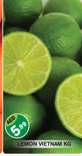 Lemon from Vietnam available at Baniyas Spike  in UAE - Abu Dhabi