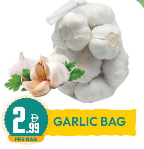 Garlic available at Dream Land in UAE - Dubai