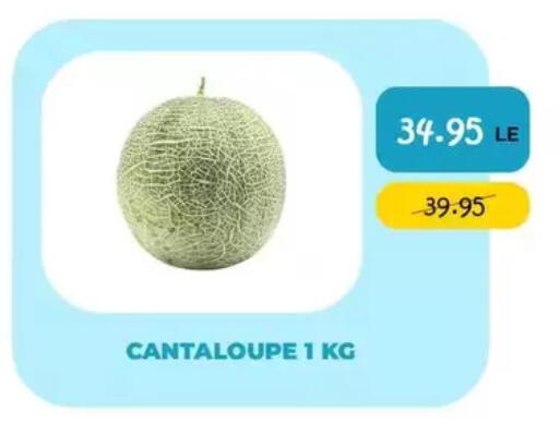 Cantaloupe available at Point Market  in Egypt - Cairo