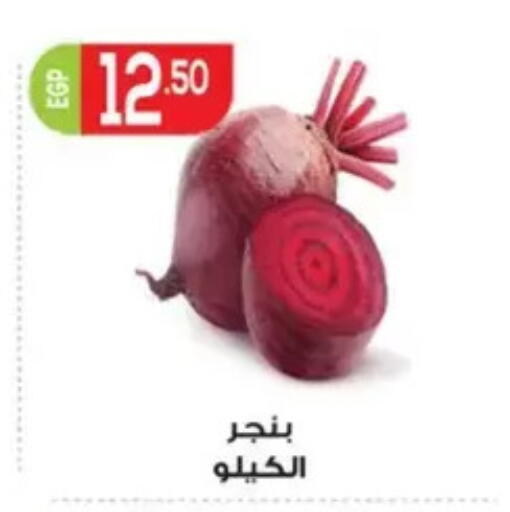 available at El mhallawy Sons in Egypt - Cairo
