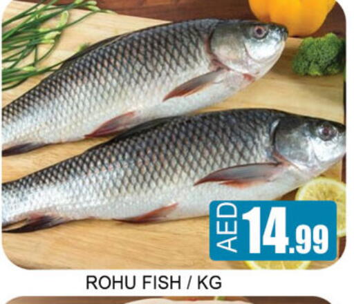available at Lucky Center in UAE - Sharjah / Ajman