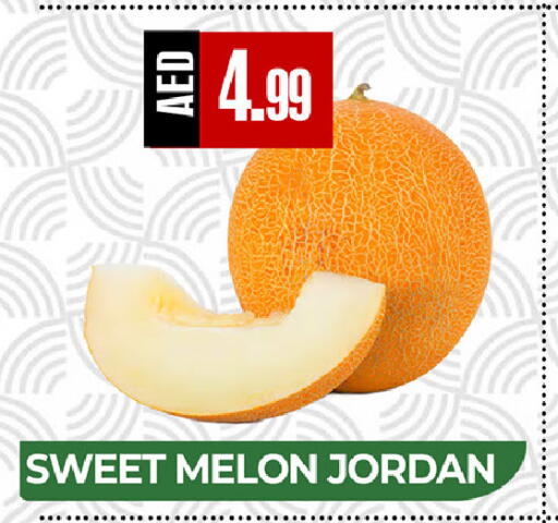 Melon from Jordan available at  RIVIERA SUPERMARKET L.L.C in UAE - Abu Dhabi