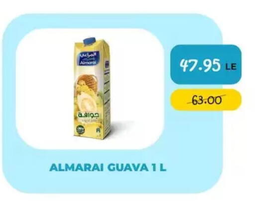 Guava available at Point Market  in Egypt - Cairo
