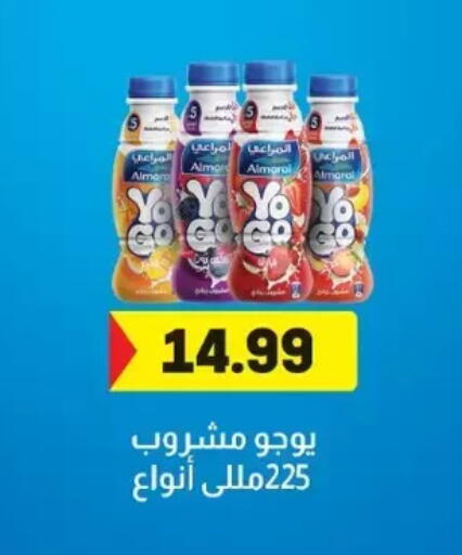 available at El mhallawy Sons in Egypt - Cairo