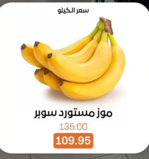 available at بيت الجملة in Egypt - القاهرة