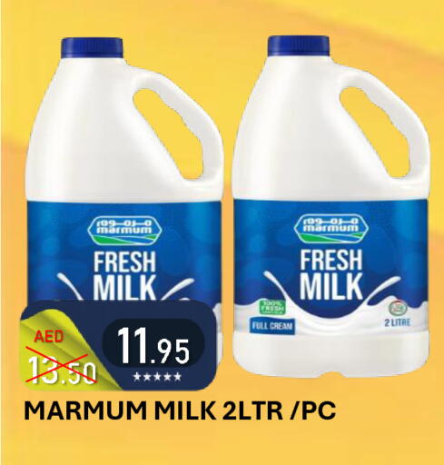 available at رويال جلف هايبرماركت in الإمارات العربية المتحدة , الامارات - أبو ظبي