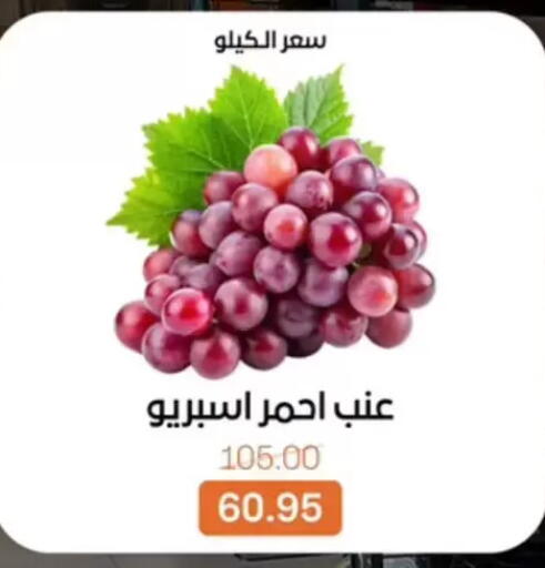 available at بيت الجملة in Egypt - القاهرة