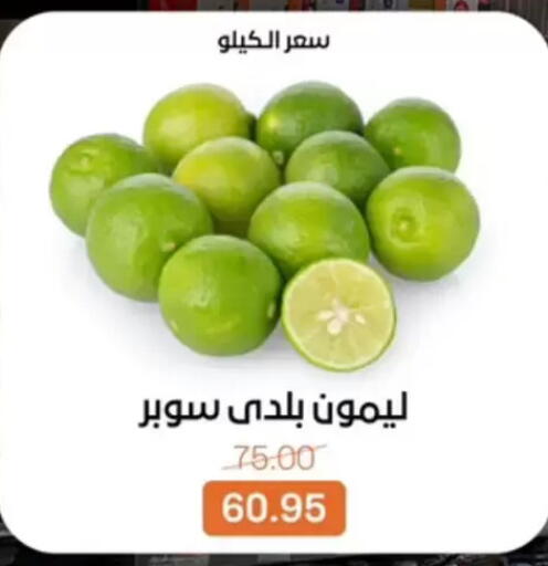 available at بيت الجملة in Egypt - القاهرة