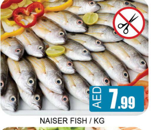 available at Lucky Center in UAE - Sharjah / Ajman