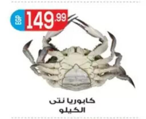 available at El mhallawy Sons in Egypt - Cairo