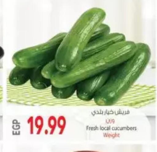 available at El.Husseini supermarket  in Egypt - Cairo