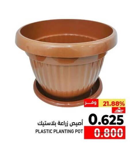 available at Ramez  in Oman - Muscat