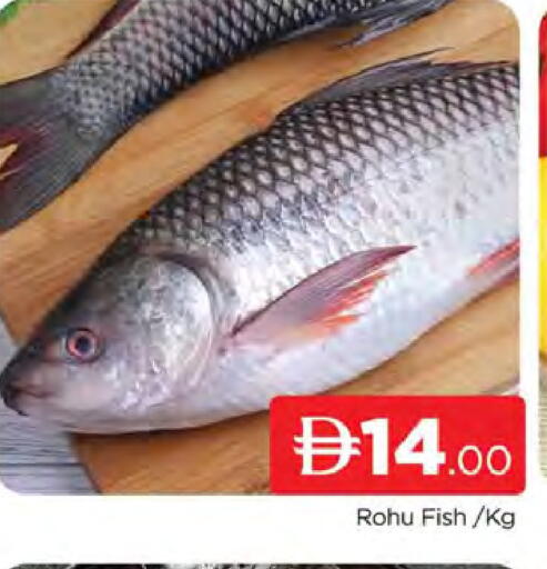 available at AL MADINA (Dubai) in UAE - Dubai