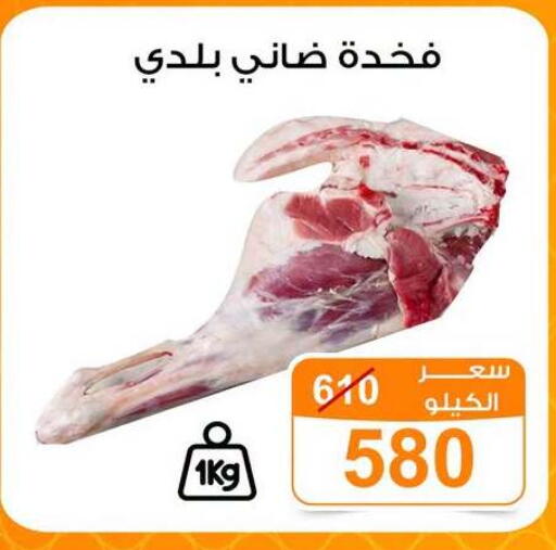 available at Gomla Market in Egypt - Cairo