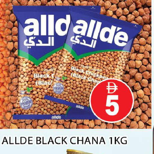 available at AL MADINA (Dubai) in UAE - Dubai