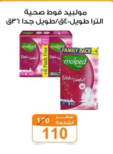 available at Gomla Market in Egypt - Cairo