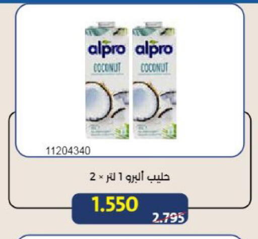 Coconut available at Mishref Co-Operative Society  in Kuwait - Kuwait City