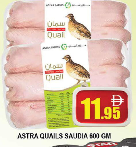 available at AL MADINA (Dubai) in UAE - Dubai