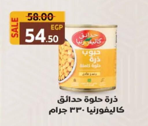 available at Galhom Market in Egypt - Cairo