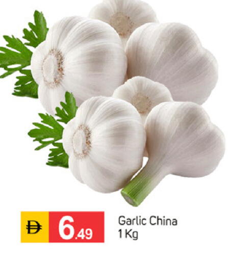 Garlic from China available at TALAL MARKET in UAE - Dubai