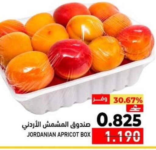Apricot from Jordan available at Ramez  in Oman - Muscat