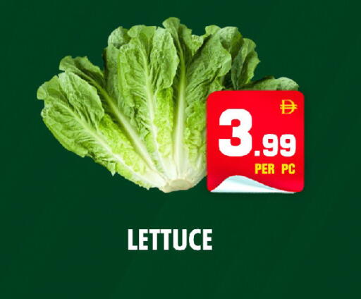 Lettuce available at NIGHT TO NIGHT DEPARTMENT STORE in UAE - Sharjah / Ajman
