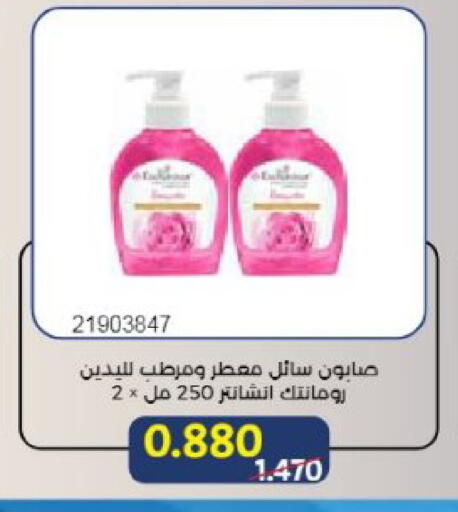 available at جمعية مشرف التعاونية in الكويت - مدينة الكويت